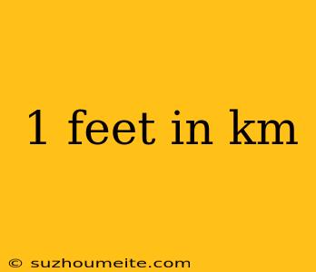 1 Feet In Km