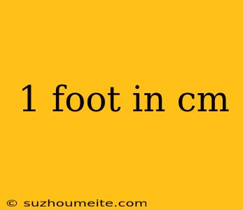 1 Foot In Cm