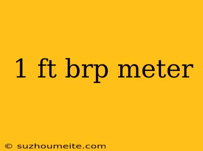 1 Ft Brp Meter