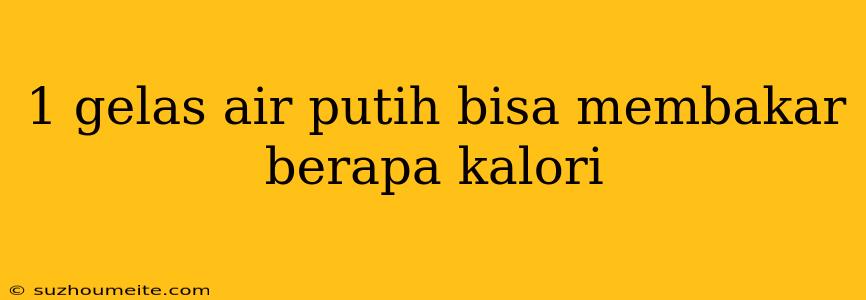 1 Gelas Air Putih Bisa Membakar Berapa Kalori