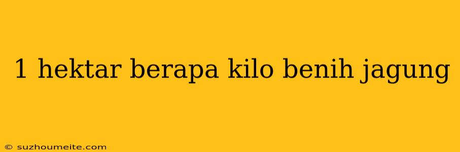 1 Hektar Berapa Kilo Benih Jagung