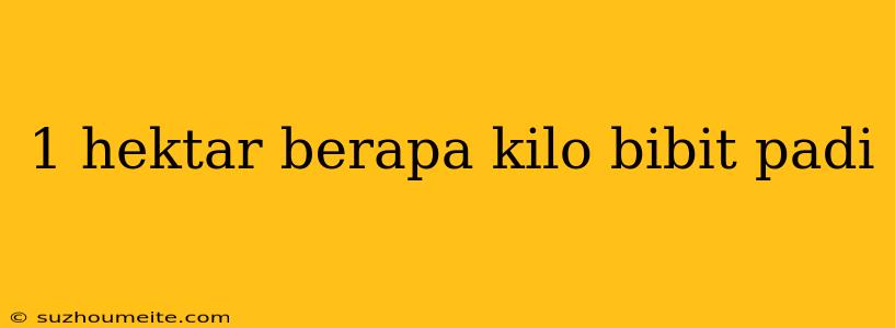 1 Hektar Berapa Kilo Bibit Padi