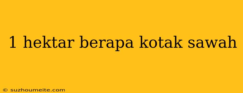 1 Hektar Berapa Kotak Sawah