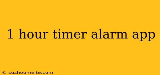 1 Hour Timer Alarm App