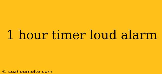 1 Hour Timer Loud Alarm