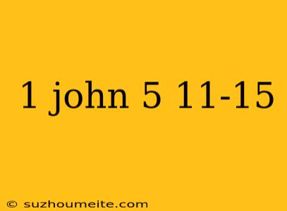 1 John 5 11-15