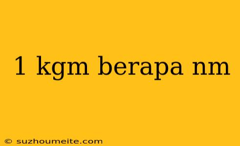 1 Kgm Berapa Nm