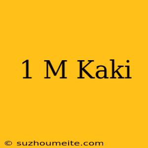 1 M = Kaki