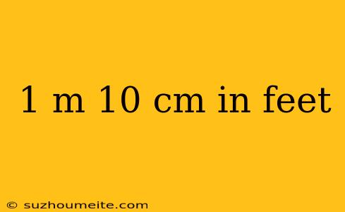 1 M 10 Cm In Feet