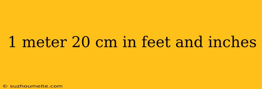 1 Meter 20 Cm In Feet And Inches