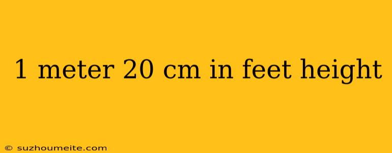 1 Meter 20 Cm In Feet Height