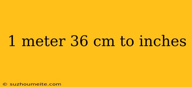 1 Meter 36 Cm To Inches
