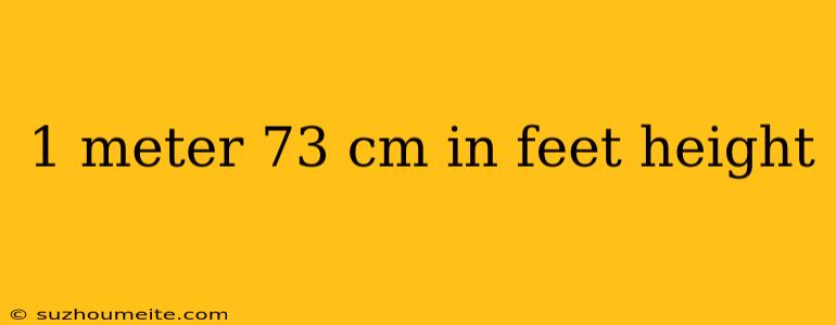1 Meter 73 Cm In Feet Height