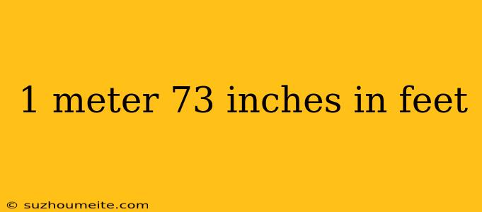 1 Meter 73 Inches In Feet