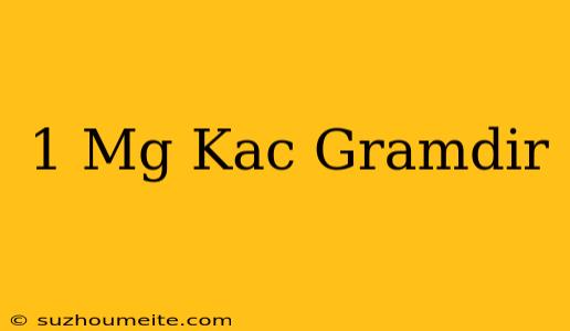 1 Mg Kaç Gramdır