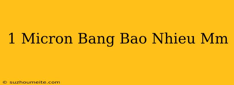 1 Micron Bằng Bao Nhiêu Mm