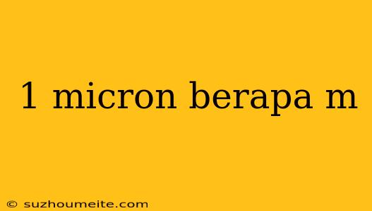 1 Micron Berapa M