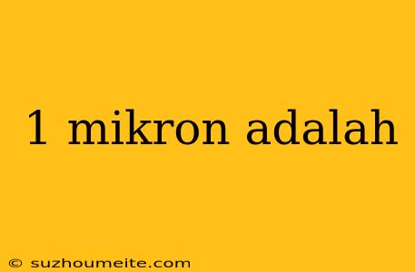 1 Mikron Adalah