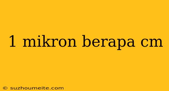 1 Mikron Berapa Cm