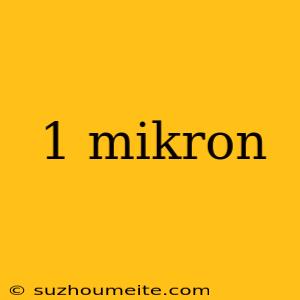 1 Mikron