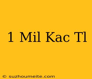 1 Mil Kaç Tl