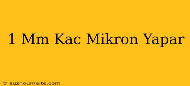 1 Mm Kaç Mikron Yapar