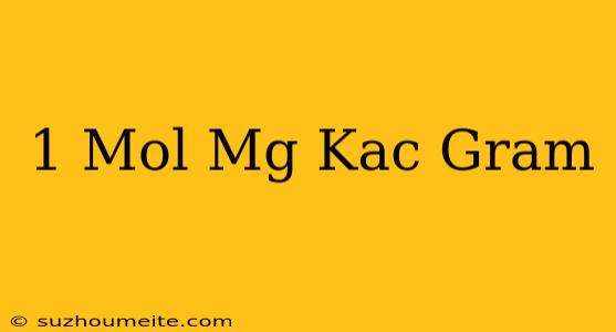 1 Mol Mg Kaç Gram