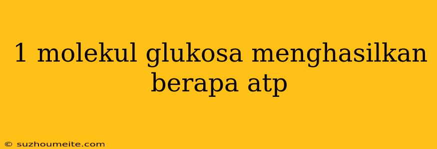 1 Molekul Glukosa Menghasilkan Berapa Atp