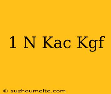 1 N Kaç Kgf