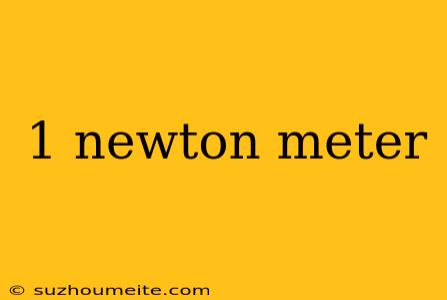 1 Newton Meter