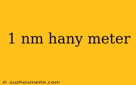 1 Nm Hany Meter