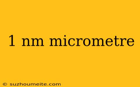 1 Nm Micrometre