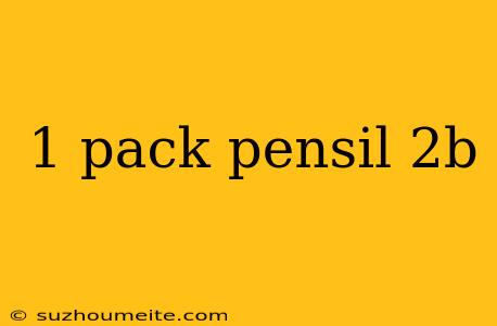 1 Pack Pensil 2b