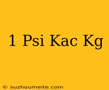 1 Psi Kaç Kg