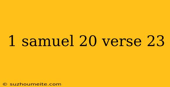 1 Samuel 20 Verse 23