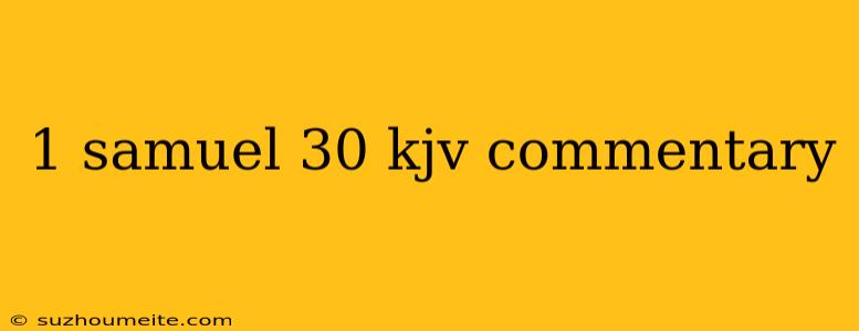 1 Samuel 30 Kjv Commentary