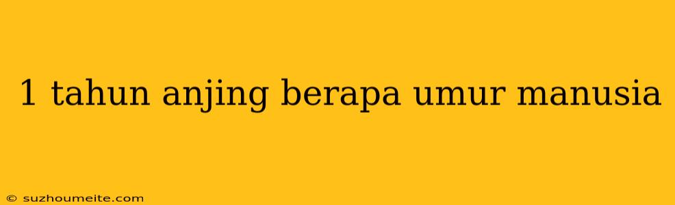 1 Tahun Anjing Berapa Umur Manusia