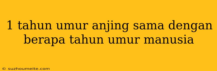 1 Tahun Umur Anjing Sama Dengan Berapa Tahun Umur Manusia