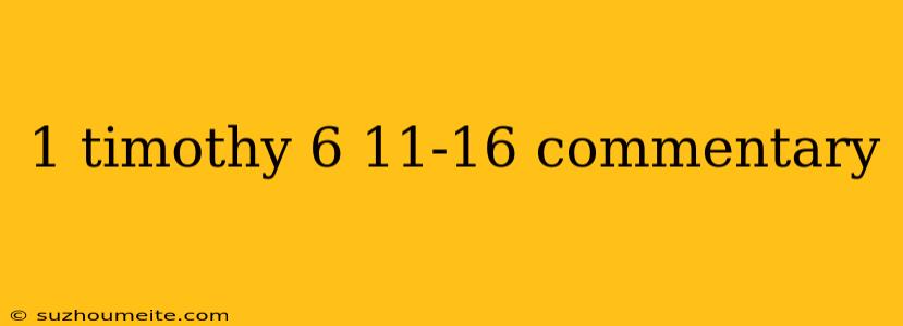 1 Timothy 6 11-16 Commentary