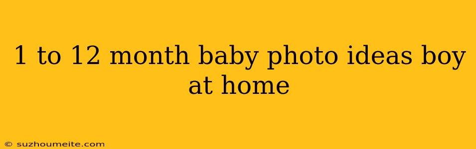 1 To 12 Month Baby Photo Ideas Boy At Home