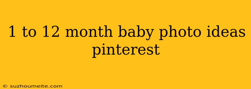 1 To 12 Month Baby Photo Ideas Pinterest