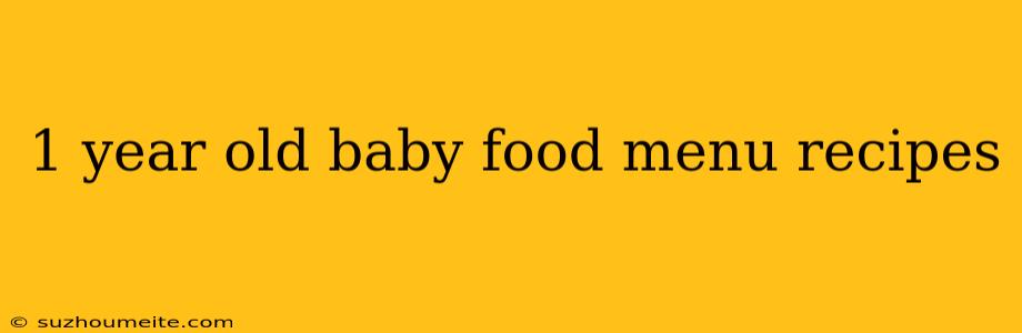 1 Year Old Baby Food Menu Recipes