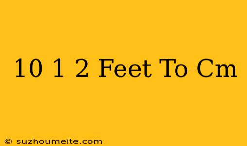 10 1/2 Feet To Cm