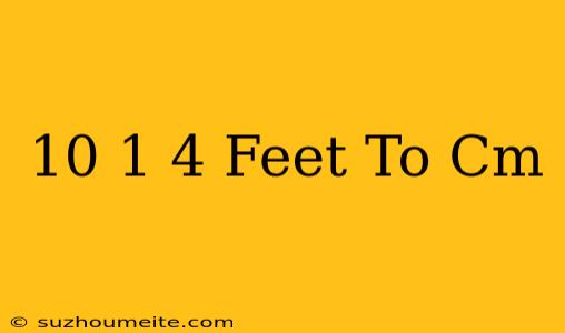 10 1/4 Feet To Cm