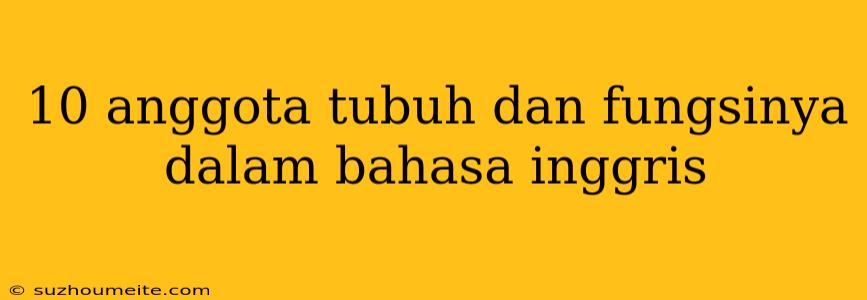 10 Anggota Tubuh Dan Fungsinya Dalam Bahasa Inggris