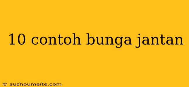 10 Contoh Bunga Jantan