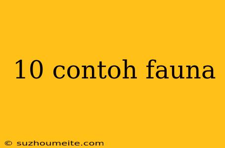 10 Contoh Fauna