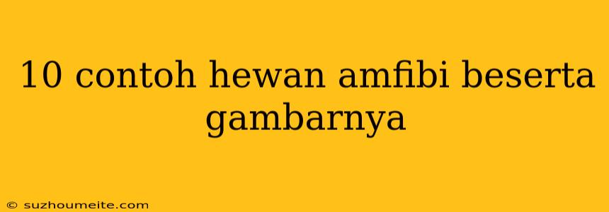 10 Contoh Hewan Amfibi Beserta Gambarnya