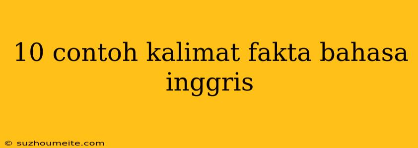 10 Contoh Kalimat Fakta Bahasa Inggris