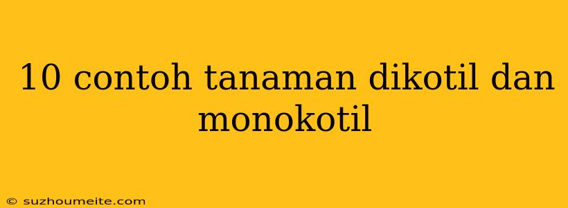 10 Contoh Tanaman Dikotil Dan Monokotil